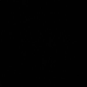 Meet your Posher, Gabby